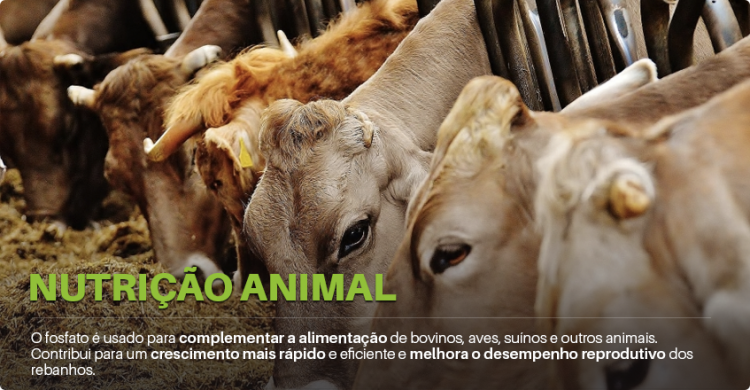 aplicacoes-copebras-animal_nSfNtVnN0vgijx2 aplicacoes-copebras-animal_nSfNtVnN0vgijx2